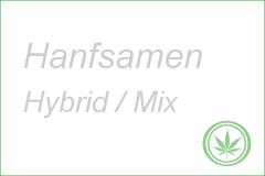 Hanfsamen HYBRID / MIX von Barney's Farm