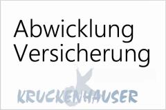 Abwicklung von Versicherungsschäden